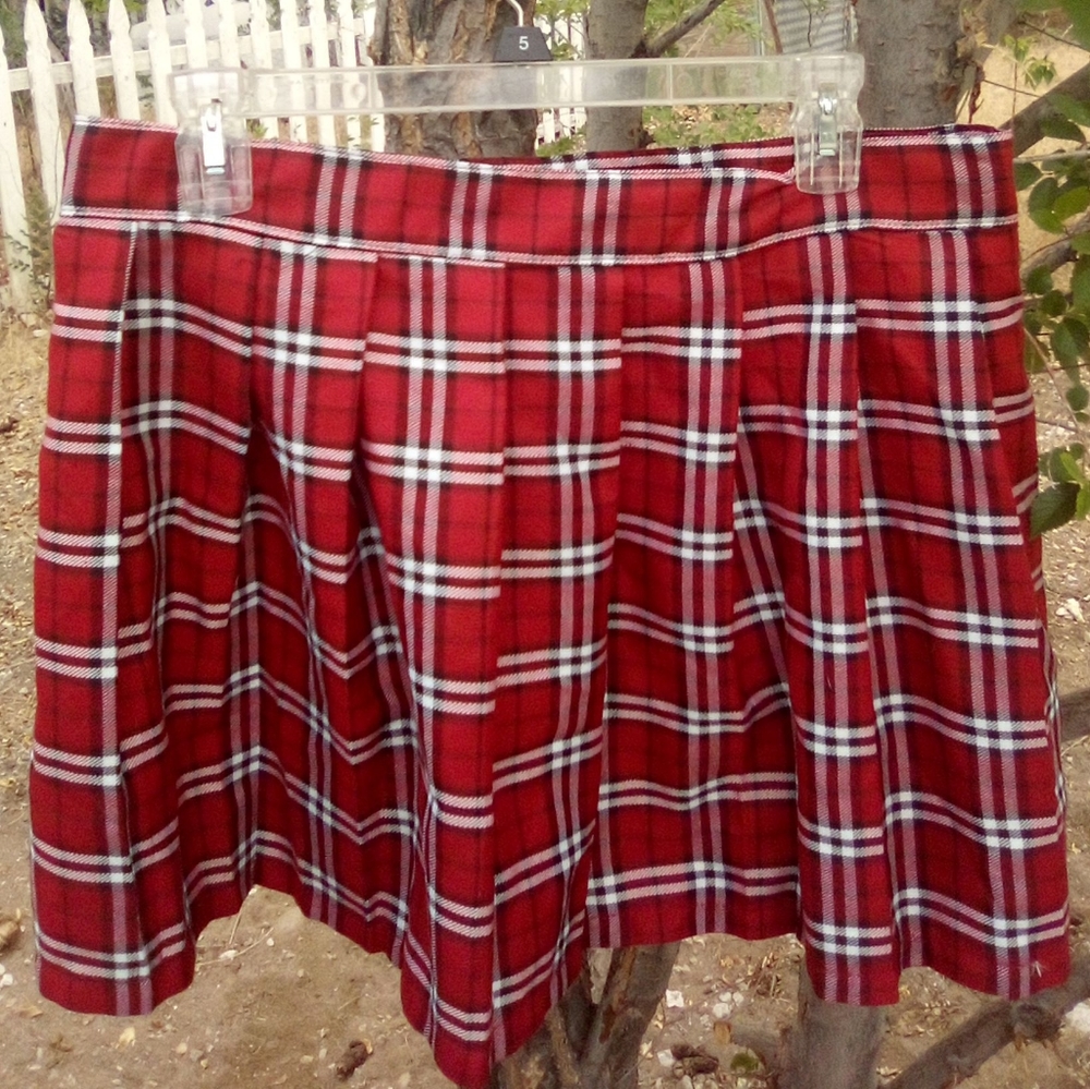 Costume skirt